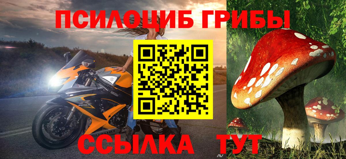 закладка  Псилоцибиновые грибы ЛСД  Сафоново  Вход с VPN  Псилоцибиновые грибы Cubensis 