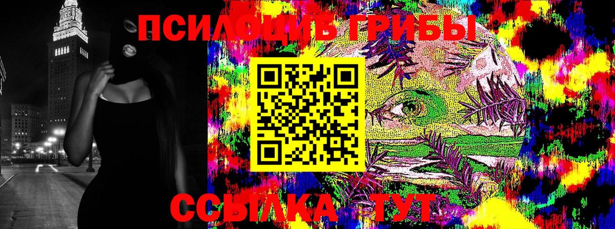 Галлюциногенные грибы Cubensis Сафоново